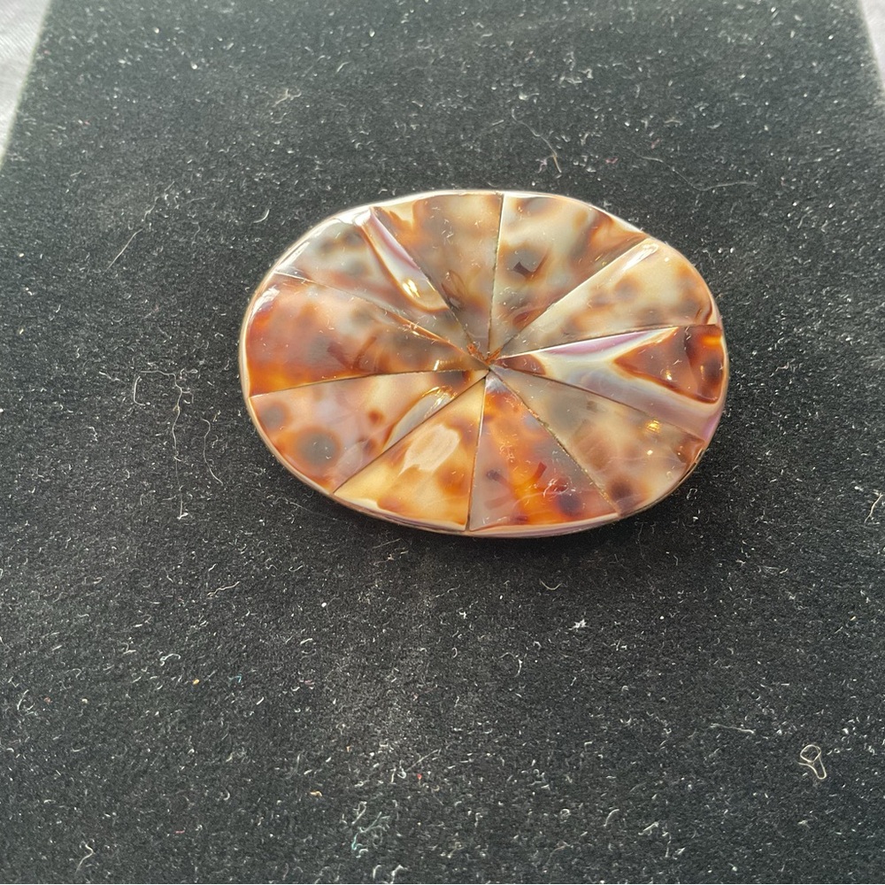Vintage Polished Tiger Cowrie Seashell Brooch/Pin